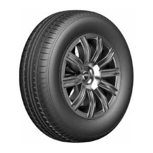 195/60R16 DOUBLE COIN DC-90 89H