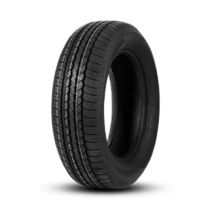 215/60R17 DOUBLE COIN DS-66 100V